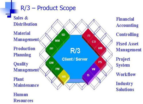 企業(yè)自研系統(tǒng)能拿到市場上去當(dāng)軟件產(chǎn)品賣嗎